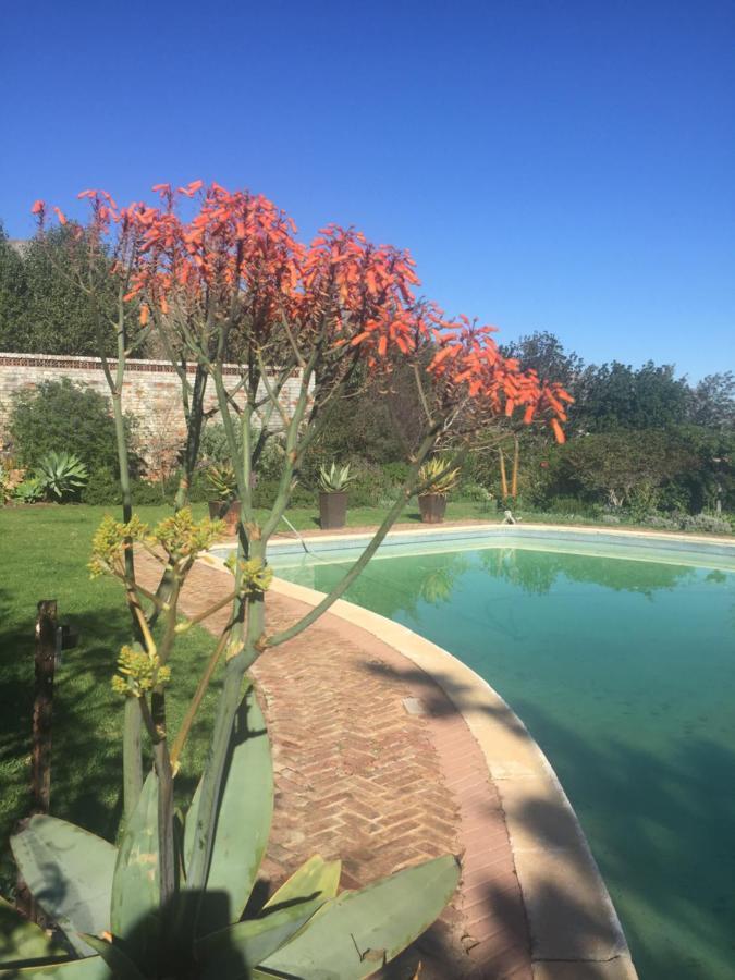 Watermill Studios Gordonʼs Bay Kültér fotó