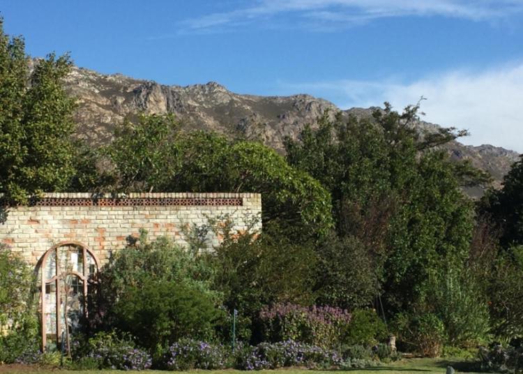 Watermill Studios Gordonʼs Bay Kültér fotó